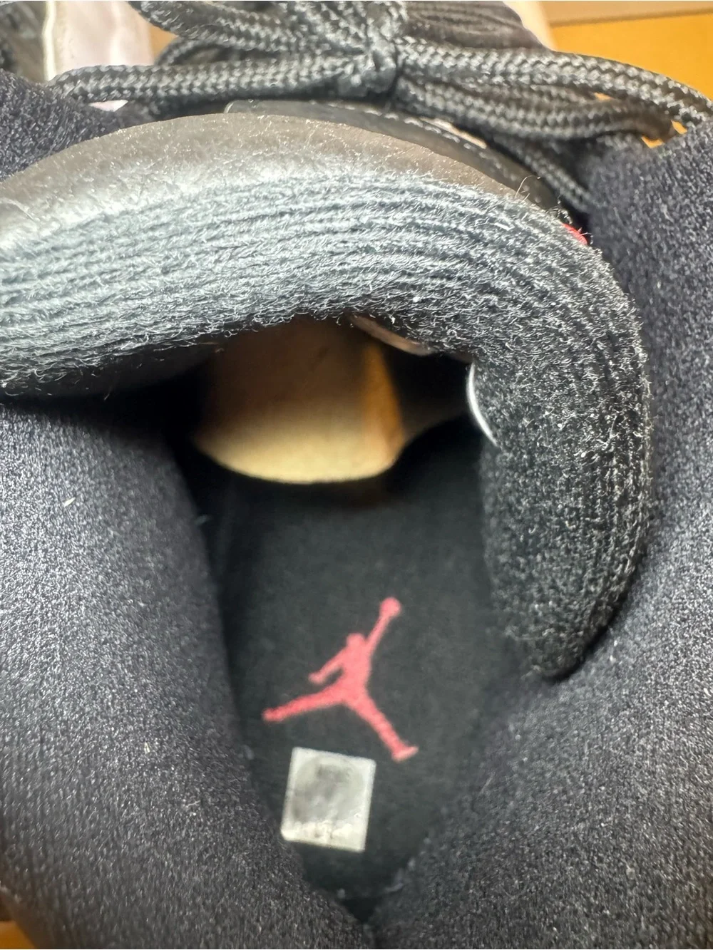 Jordan 12 “Playoffs” (2022)